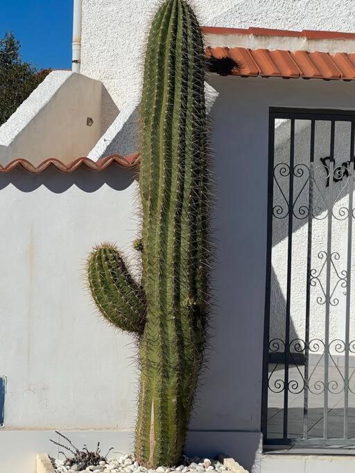 Apartament Club Salino 18 Torrevieja Zewnętrze zdjęcie
