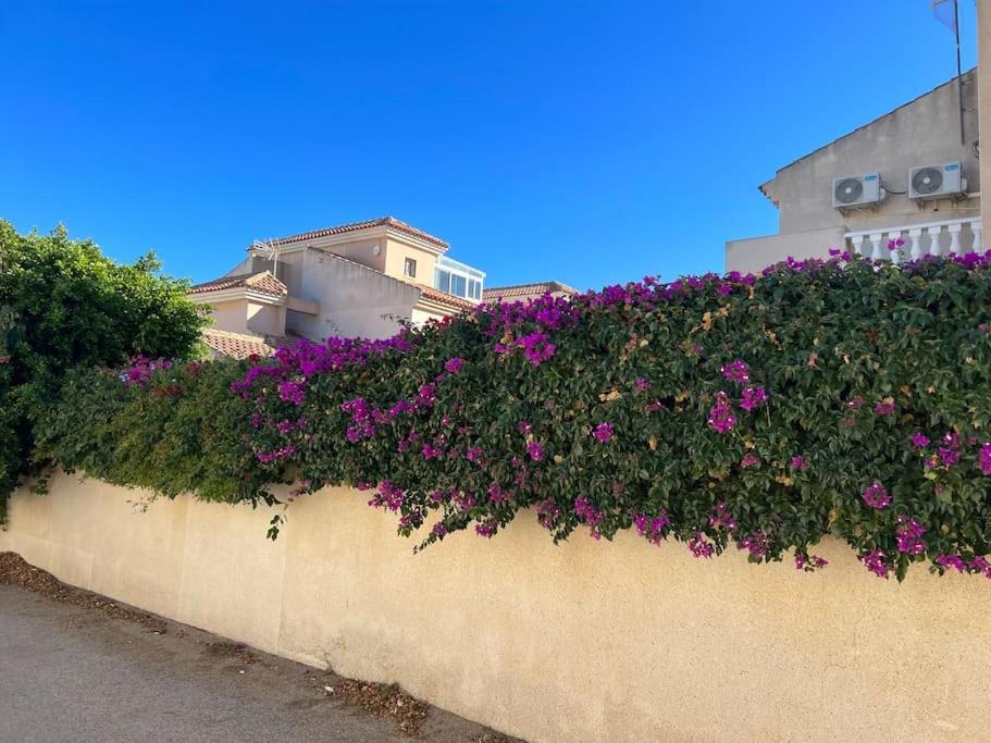 Apartament Club Salino 18 Torrevieja Zewnętrze zdjęcie