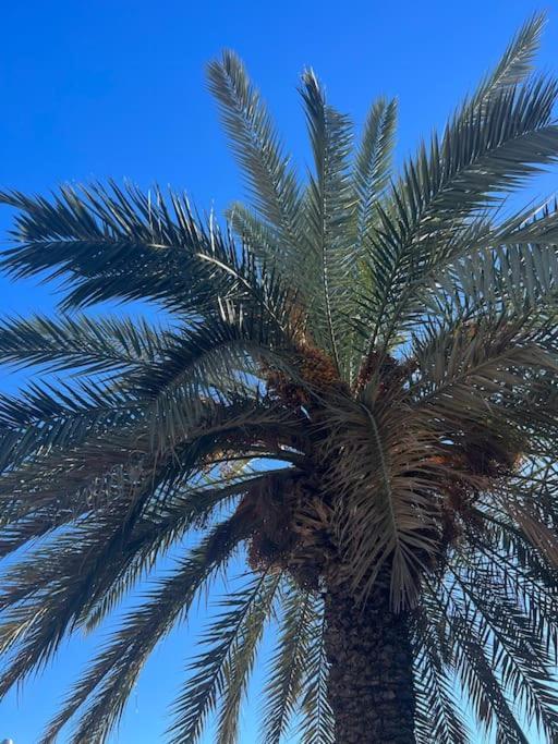 Apartament Club Salino 18 Torrevieja Zewnętrze zdjęcie