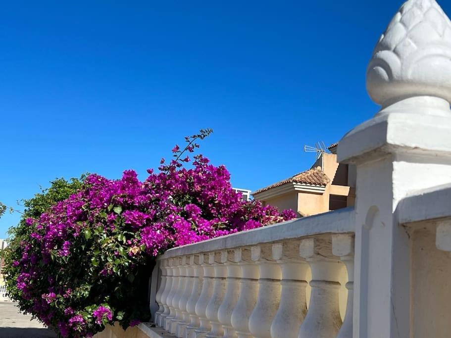 Apartament Club Salino 18 Torrevieja Zewnętrze zdjęcie